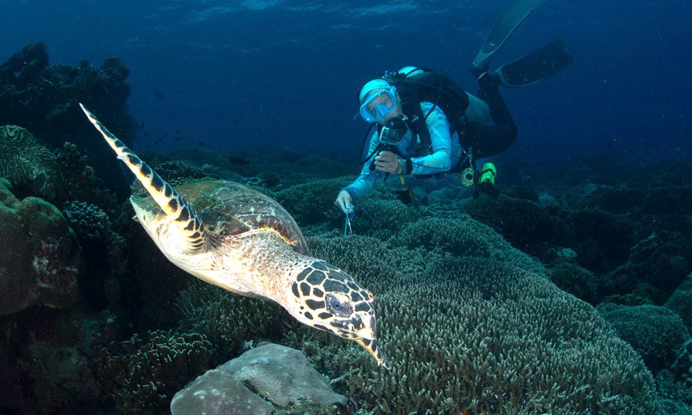 Nomads Diving - Project Laut